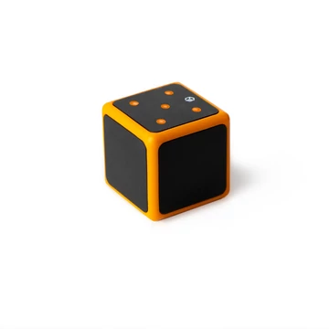ESIX Orange Dice